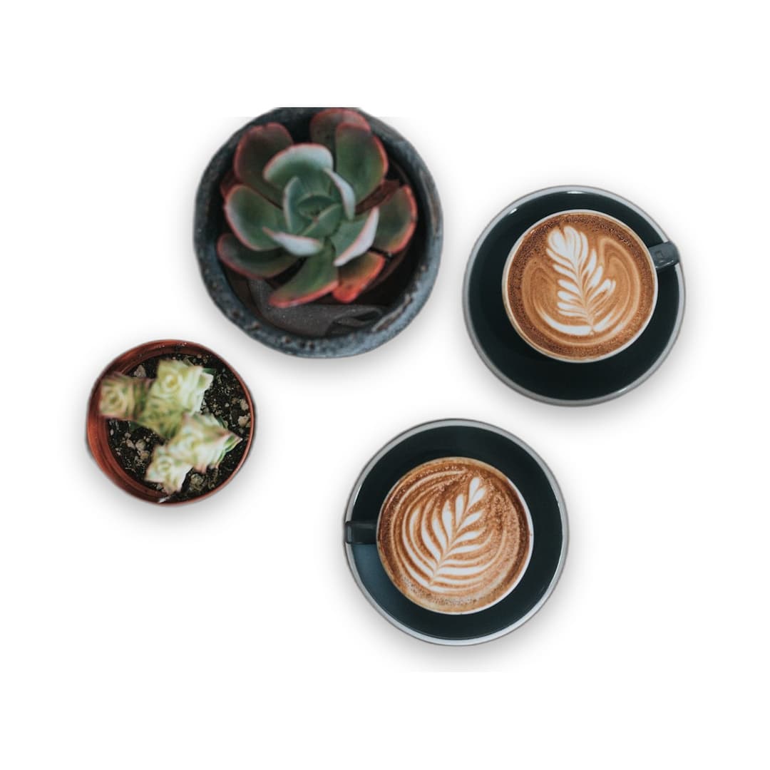 Coffee Plant